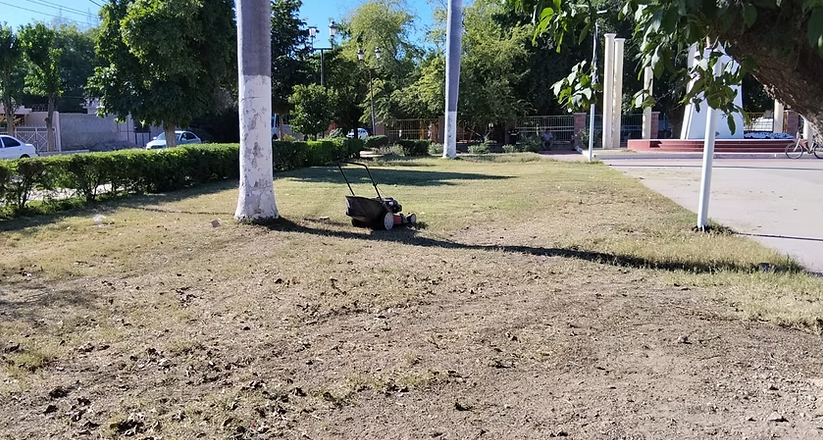 Parques y Jardines trabaja en mantenimiento de espacios públicos en Empalme