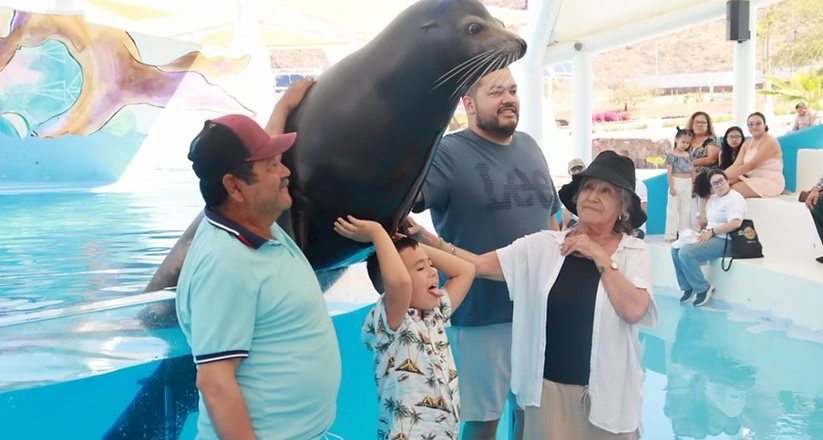 Gobierno de Sonora invita a disfrutar el Delfinario durante Semana Santa