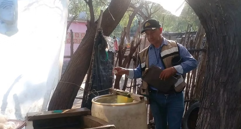 Ante posibles lluvias en Sonora, llama Salud a eliminar criaderos de mosquitos
