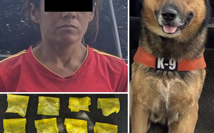 Acciones firmes de la Unidad K-9 de la PESP se traducen en seguridad para Sonora