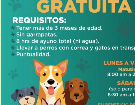 Mantiene agenda abierta Ayuntamiento de Hermosillo para esterilizaciones gratuitas para perros y gatos