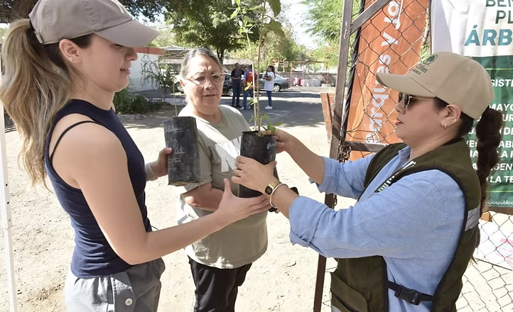 Invita Gobierno de Hermosillo a adoptar un árbol nativo este viernes 17 de abril