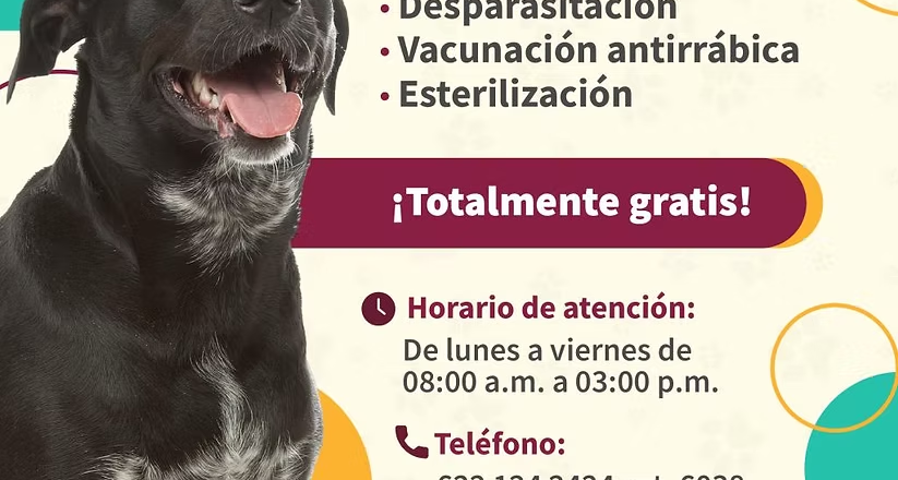 Mantiene Ayuntamiento de Guaymas servicios del Centro de Atención Canino y Felino