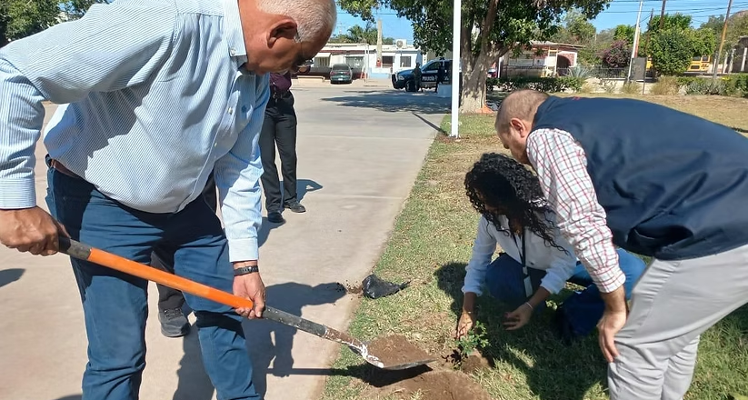 Mantienen programa de reforestación en Empalme