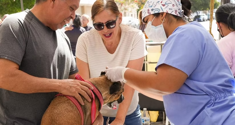 Impulsa Gobierno de Sonora esterilización de mascotas con módulos de zoonosis