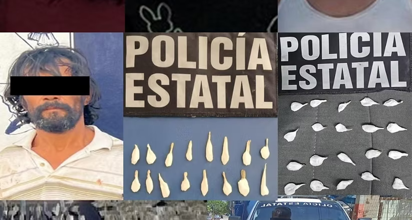 Incauta Policía Estatal y SEMAR más de 180 envoltorios de narcótico en Estación Corral