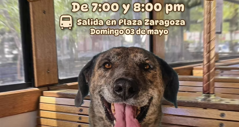 Invita Gobierno de Hermosillo a un paseo diferente en el “DogeBus”