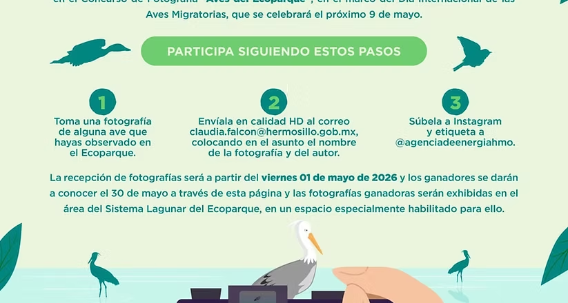 Conmemora Gobierno de Hermosillo Día Internacional de las Aves Migratorias con un concurso de fotografía