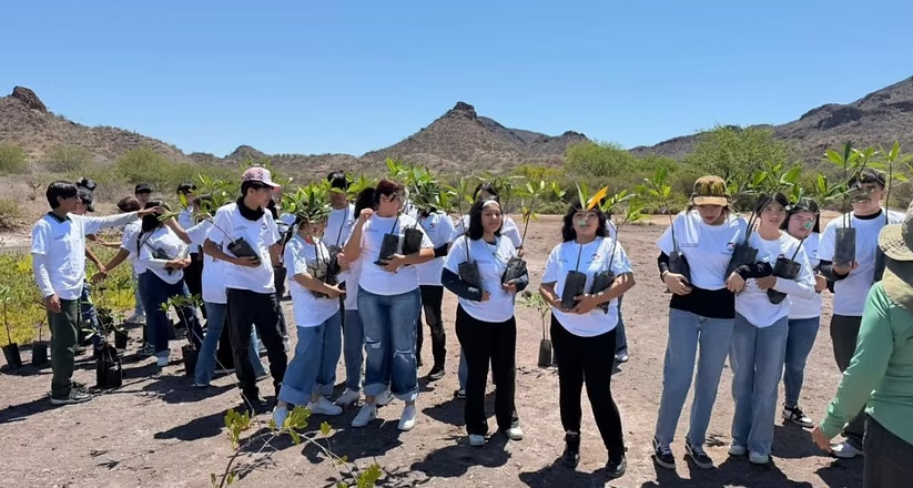 Participan estudiantes de Conalep Sonora en Campaña de Reforestación de Manglares