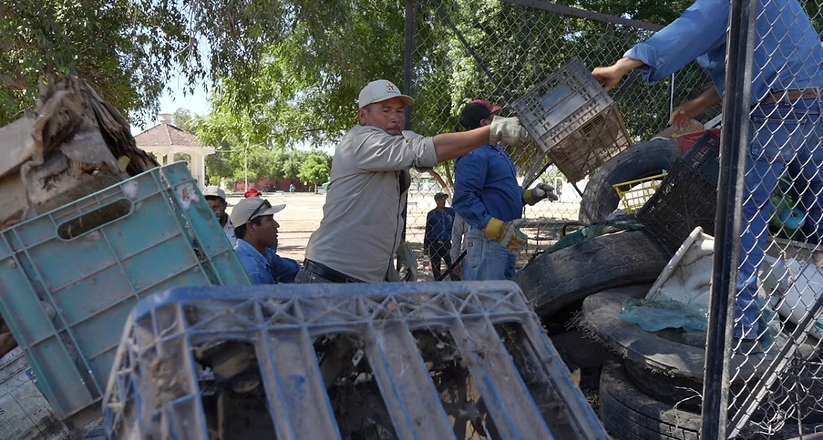 Secretaría de Salud fortalece acciones permanentes para la prevención y combate del dengue en Sonora