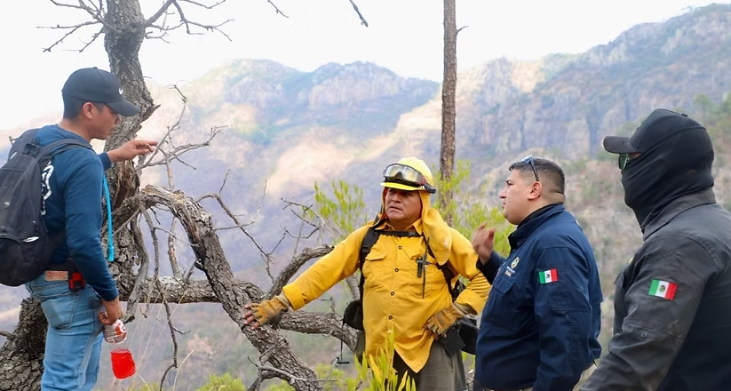 Protección Civil Sonora y autoridades de los tres niveles de gobierno atienden incendio forestal en Álamos