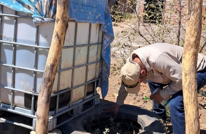 Refuerza Salud Sonora acciones contra el dengue en todo el estado para beneficio de la población