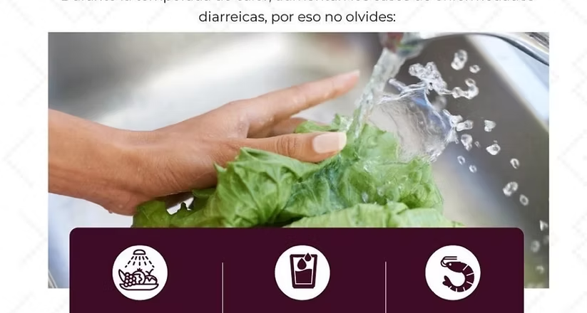 Llama Salud Sonora a prevenir intoxicaciones por alimentos durante temporada de calor