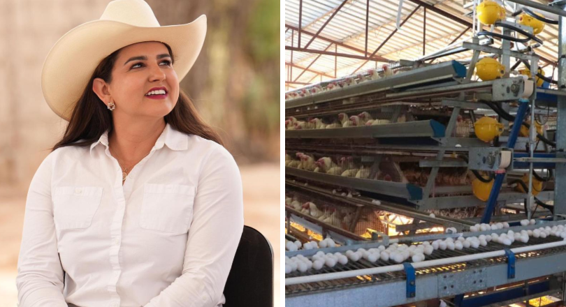 Producción de huevo en Sonora mantiene crecimiento sostenido y fortalece la seguridad alimentaria