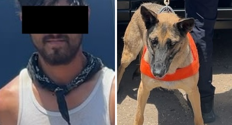 Unidad K-9 de la PESP fortalece acciones de seguridad en Hermosillo