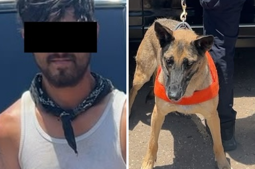 Unidad K-9 de la PESP fortalece acciones de seguridad en Hermosillo