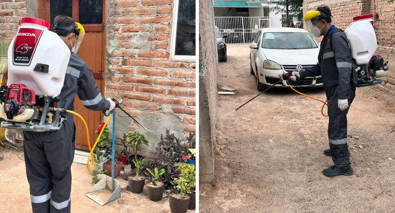 Refuerza Salud Sonora acciones contra la rickettsia con más de 2 mil 600 fumigaciones
