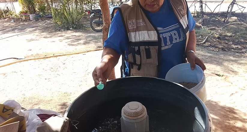 Refuerza Salud Sonora combate al dengue con fumigación de más de 65 mil hectáreas