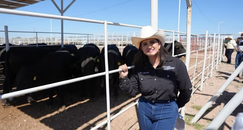 Refuerzan Sonora, México y Estados Unidos acciones para proteger la sanidad ganadera ante el gusano barrenador