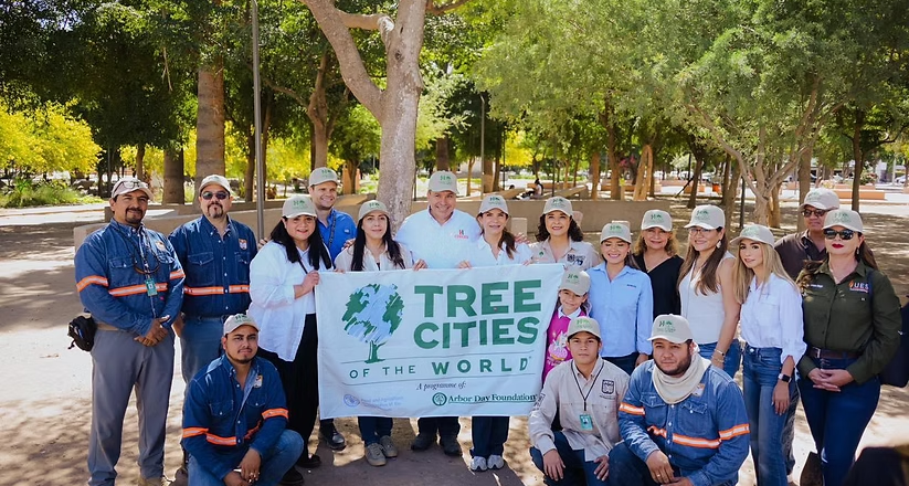 Plantación de más 113 mil árboles ayudan a mejorar el medio ambiente: Toño Astiazarán