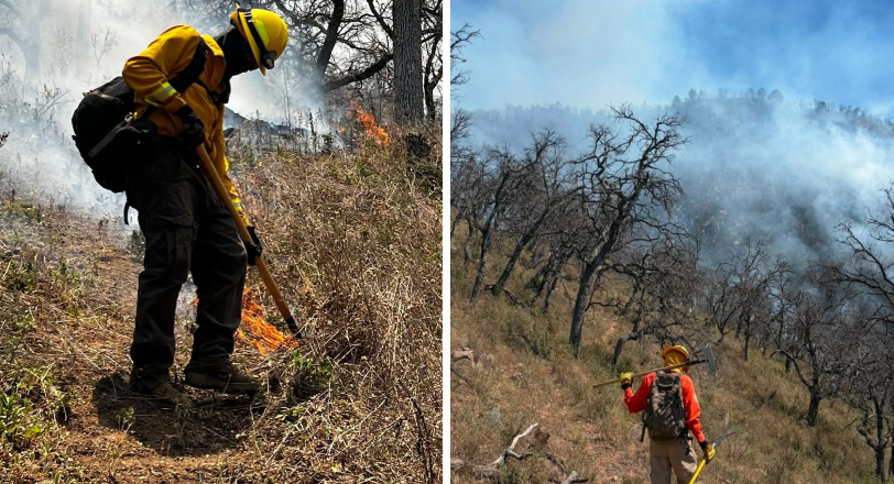 CEPC coordina esfuerzo de más de 100 combatientes forestales en Tarachi