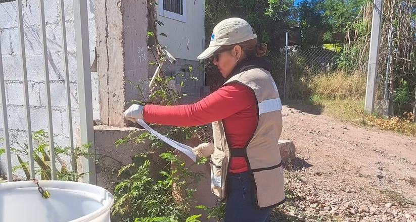 Refuerza Salud Sonora prevención del dengue mediante ovitrampas