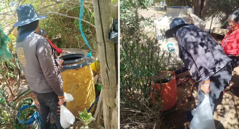 Exhorta Salud Sonora a reforzar la prevención del dengue tras las lluvias