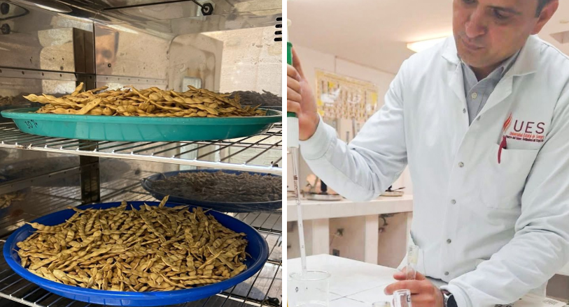 Investigador de la UES busca desarrollar empaques biodegradables antimicrobianos