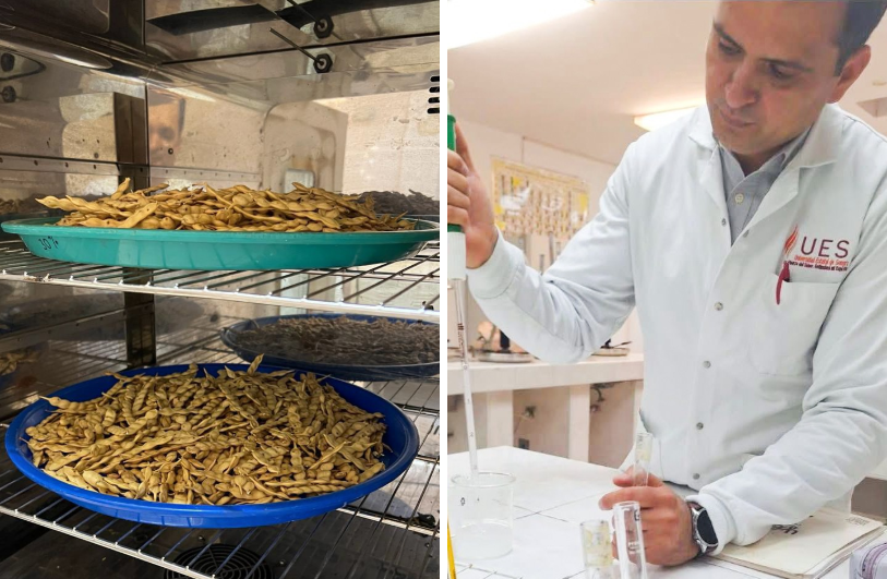 Investigador de la UES busca desarrollar empaques biodegradables antimicrobianos
