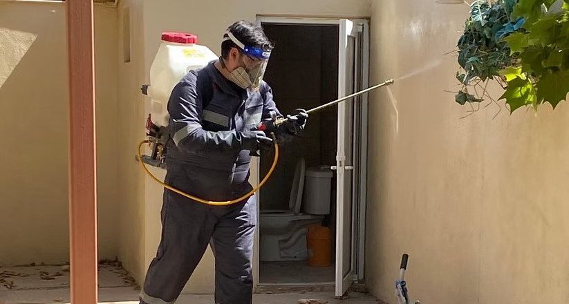 Llama Salud Sonora a la población a recordar que las campañas de prevención contra el dengue y la rickettsia son gratuitas