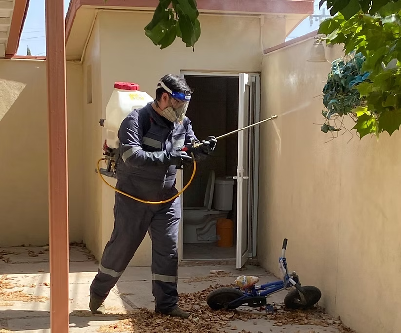 Llama Salud Sonora a la población a recordar que las campañas de prevención contra el dengue y la rickettsia son gratuitas