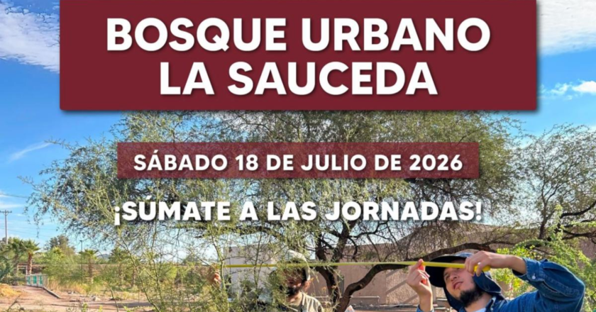 Gobierno de Sonora ofrece un fin de semana de experiencias para toda la familia en el Bosque Urbano La Sauceda