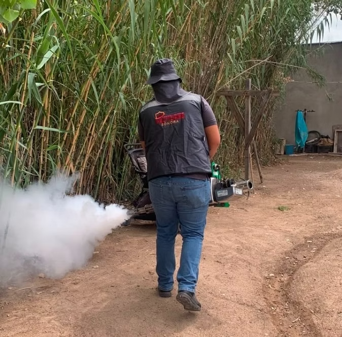 Salud Sonora exhorta a eliminar criaderos de mosquitos tras las lluvias registradas en el estado