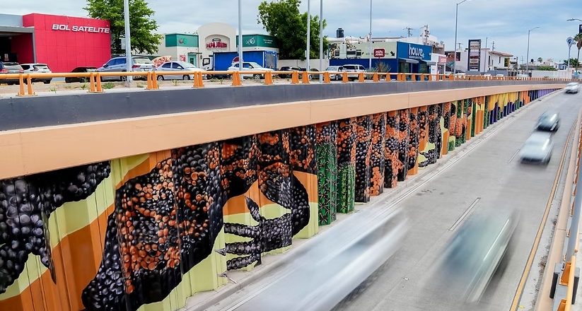 Mural en paso a desnivel de Colosio y Solidaridad es espacio de expresión cultural: Toño Astiazarán