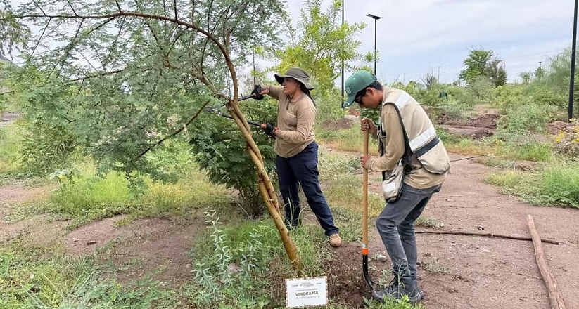 Gobierno de Sonora fortalece la oferta cultural, científica y ambiental del Bosque Urbano La Sauceda