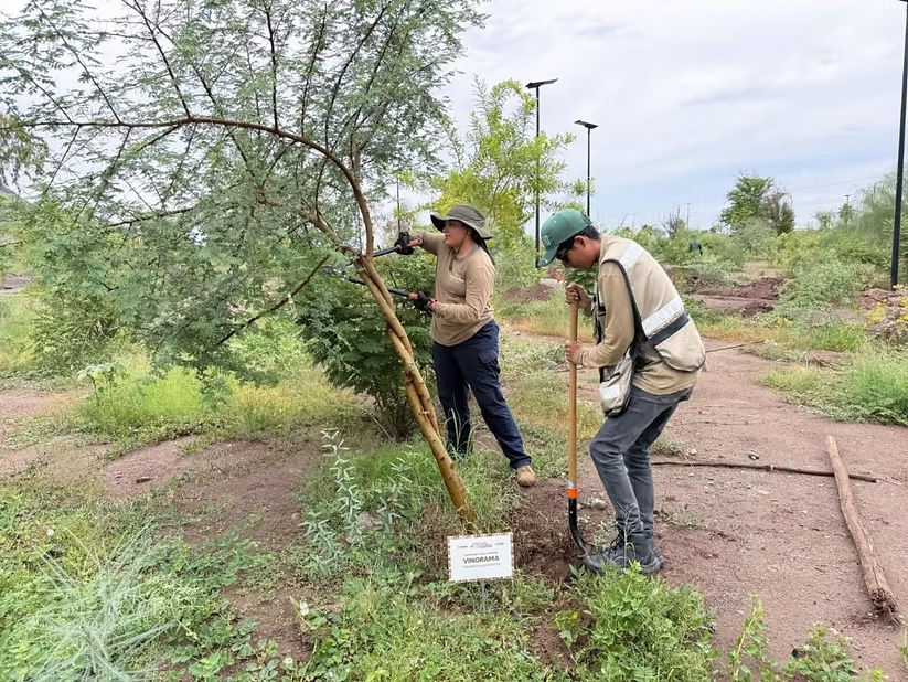 Gobierno de Sonora fortalece la oferta cultural, científica y ambiental del Bosque Urbano La Sauceda