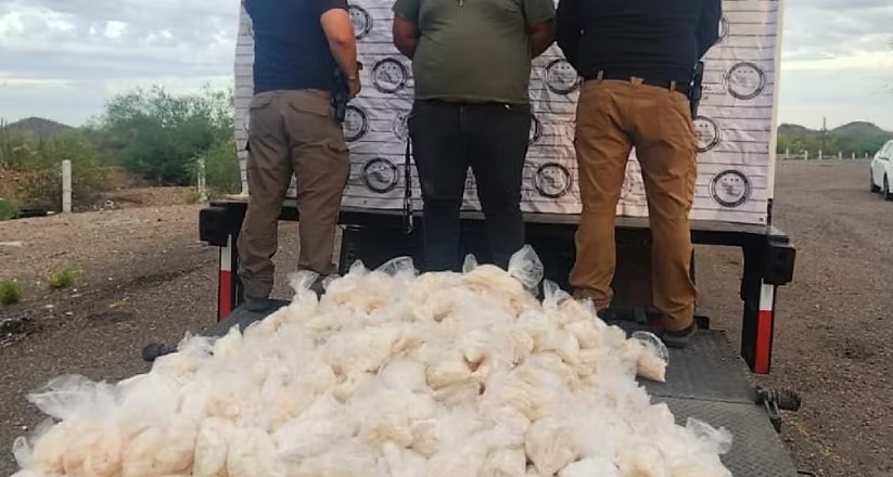 Asegura Mesa Estatal de Seguridad alrededor de 200 kilogramos de metanfetamina en Caborca