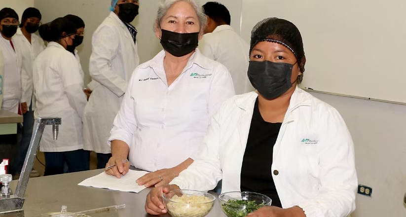 Desarrolla UTEtchojoa investigación sobre el aprovechamiento de la semilla de Palo Verde