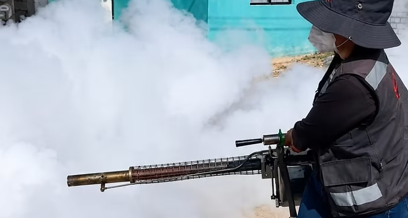 Mantener patios y viviendas limpias es la medida más efectiva contra el dengue; la fumigación complementa la prevención
