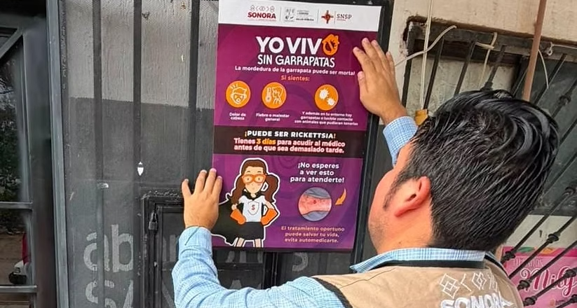 Reitera Salud Sonora que una casa limpia es clave para eliminar la rickettsia