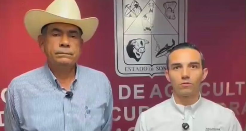 Gobierno de Sonora refuerza vigilancia sanitaria ante detección de gusano barrenador