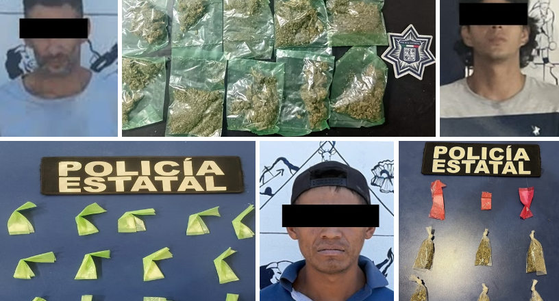 Acciones operativas de la Policía Estatal aseguran narcóticos en municipios de Sonora