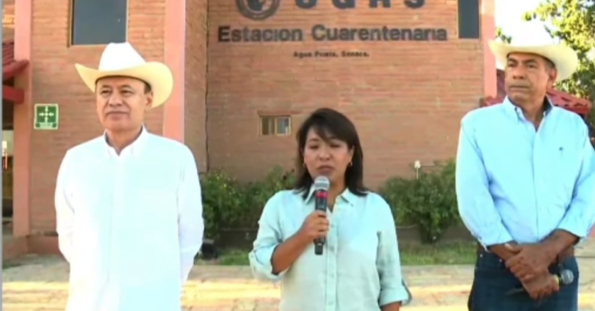 Habla gobernador Durazo, sobre reapertura de la frontera para exportación de ganado