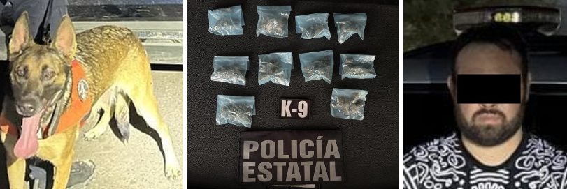 PESP refuerza acciones de seguridad con intervención de su Unidad K-9