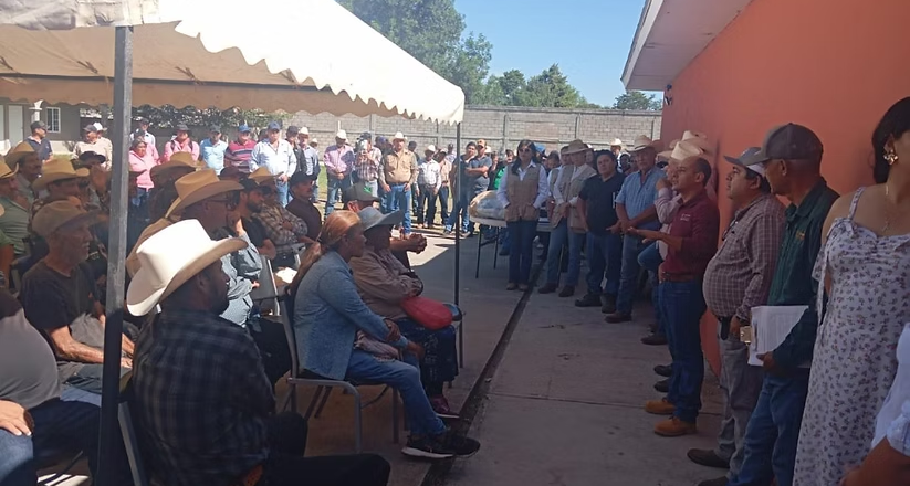 Gobierno de Sonora y Senasica intensifican acciones sanitarias para proteger al sector ganadero