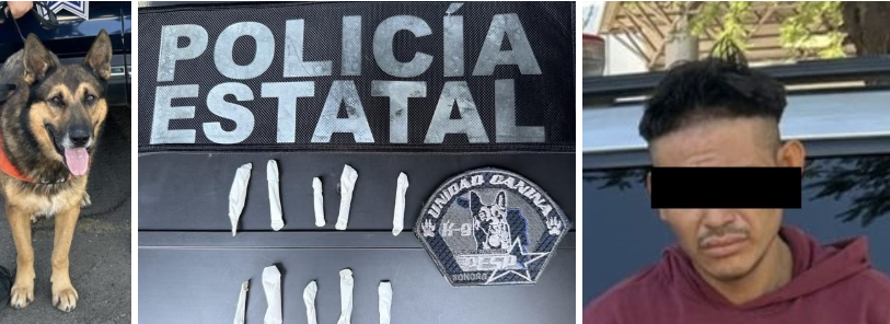 Fortalece Unidad K9 de la PESP acciones contra el delito
