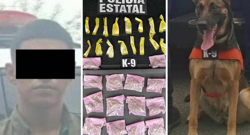 Unidad K9 fortalece la labor operativa con resultados positivos