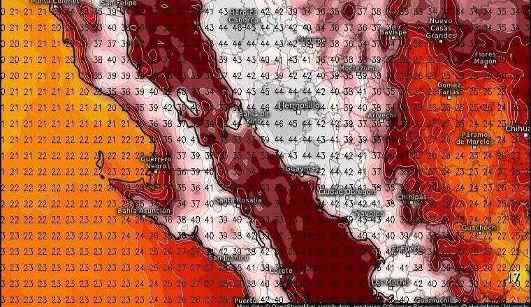 Alerta: durante los próximos 3 días el ambiente será extremadamente caluroso