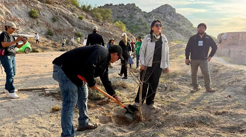 Gobierno de Sonora fortalece la reforestación y la participación comunitaria en el Bosque Urbano La Sauceda