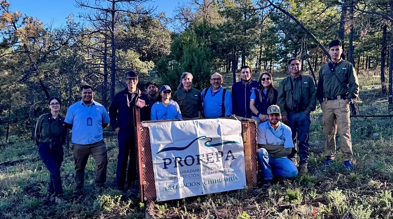 Contribuye Gobierno de Sonora a la conservación del águila real con proyecto de monitoreo internacional: UES